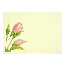 Pink Rosebud Invitation Reply Template