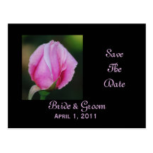 Pink Rosebud Save The Date Postcard