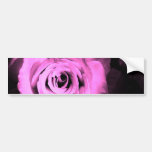 Pink Roses Bumper Sticker