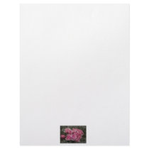 Pink roses bundle personalized letterhead