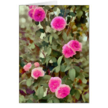 Pink Roses Cards