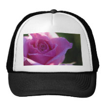 Pink Roses Dew Trucker Hats