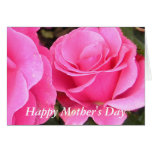 Pink Roses Mother's Day Card cards
