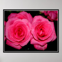 Pink Roses Print