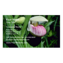 Pink Royal Lady's Slipper (Cypripedium Reginae Bic Business Card