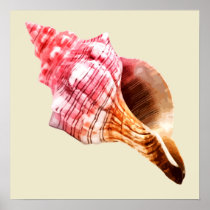 Pink Sandy Conch Shell