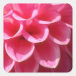 Pink Shocking Pink flowers Square Stickers