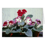 Pink Sinningia Speciosa (Florist Gloxinia) flowers Greeting Cards