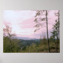 Pink Skies Print