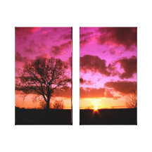 Pink Sky Canvas Prints