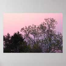 Pink Sky  Posters