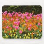 Pink Spring flowers flowers Mousepads