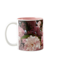 Pink Spring Tree Flowers Mugs