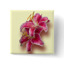 Pink Stargazer Lilies