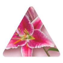 Pink Stargazer Lily and Bud