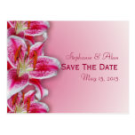 Pink Stargazer Save The Date Postcard