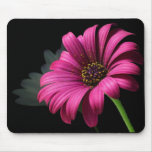 PINK STUDIO DAISY MOUSE MATS