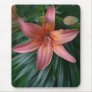 Pink Tiger Lily Flower photograph mousepads