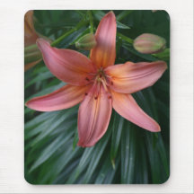 Pink Tiger Lily Flower photograph mousepads