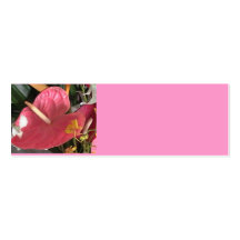 Pink Tropical Business Card