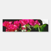 Pink Tropical flowers, Ocho Rios flowers Bumper Sticker