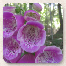 Pink Trumpet Flower Coasters