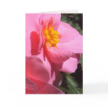 Pink Tuberous Begonia Greeting Card