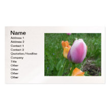 Pink Tulip Business Card