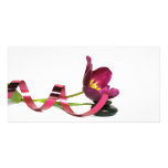 pink tulip carte avec photo