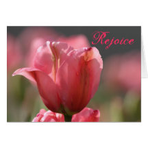Pink tulip Easter greeting (h) Cards