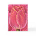 Pink Tulip Flower Nature Painting - Multi cards