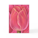 Pink Tulip Flower Nature Painting - Multi cards