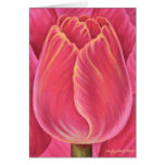 Pink Tulip Flower Nature Painting - Multi Greeting Cards