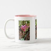 Pink Tulip in the Garden Coffee Mugs