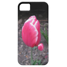 Pink Tulip iPhone Case iPhone 5 Case