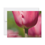 Pink Tulip Macro DSC0852 Personalized Announcements