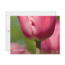 Pink Tulip Macro DSC0852 Personalized Announcements
