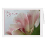 PINK TULIP ~ My Love Greeting Card