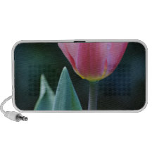 Pink Tulip Notebook Speakers