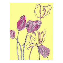 Pink Tulip Postcard