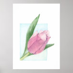 Pink Tulip Poster