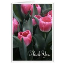 Pink Tulip Thank You Cards