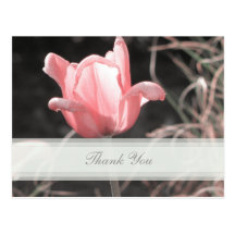 Pink Tulip Thank You Postcard