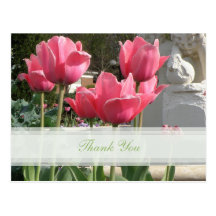 Pink Tulip Thank You Postcard