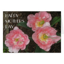 Pink Tulips 2, Mother's Day Greeting Card
