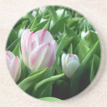 Pink Tulips coasters
