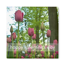 Pink Tulips DSC0867 Magnet