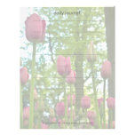Pink Tulips DSC0867 Personalized Letterhead