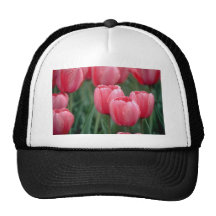 Pink tulips flowers hats