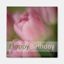 Pink Tulips • Happy Birthday Magnet